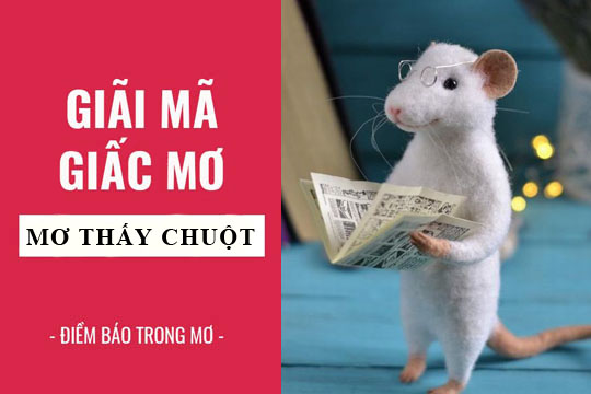 Nằm mơ thấy chuột con đánh số gì?