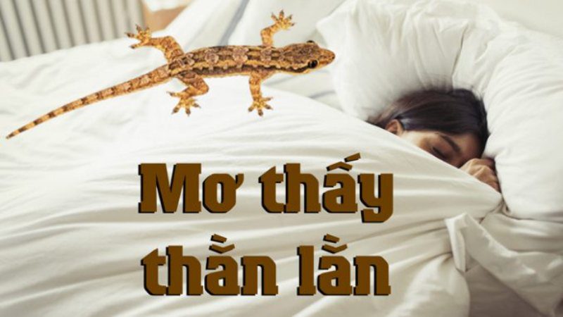 Mơ thấy thằn lằn đánh con gì?