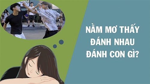 Mơ thấy đánh nhau đánh con gì?